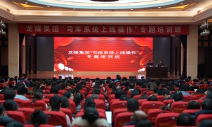 集团公司举办“司库系统上线...