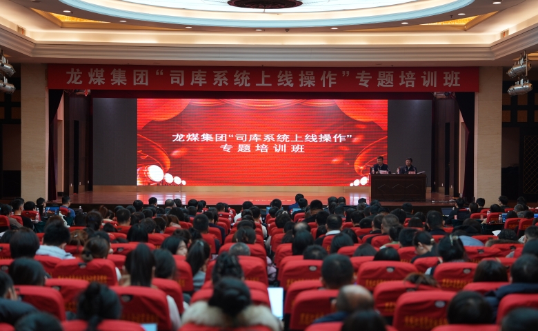 集团公司举办“司库系统上线操作”专题培训