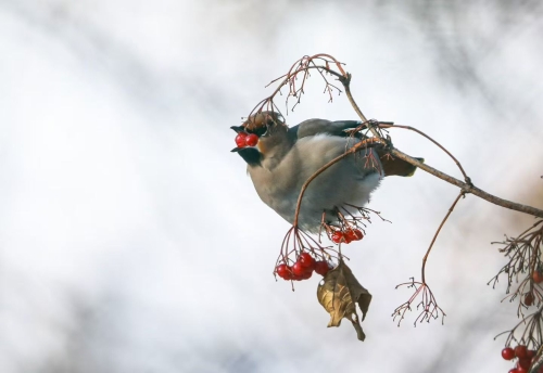 微信图片_20260318154751_358_91