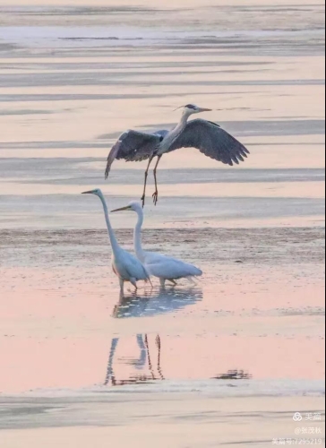 微信图片_2026-03-25_140002_582