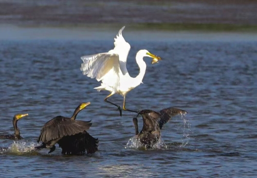 微信图片_2026-04-13_164244_308